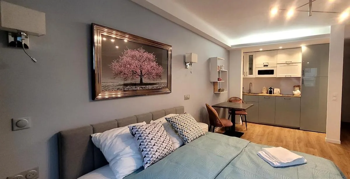 הקונטקטים של Cozy Studio In The Heart Of Cannes